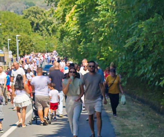 Velika Gospa u Aljmašu