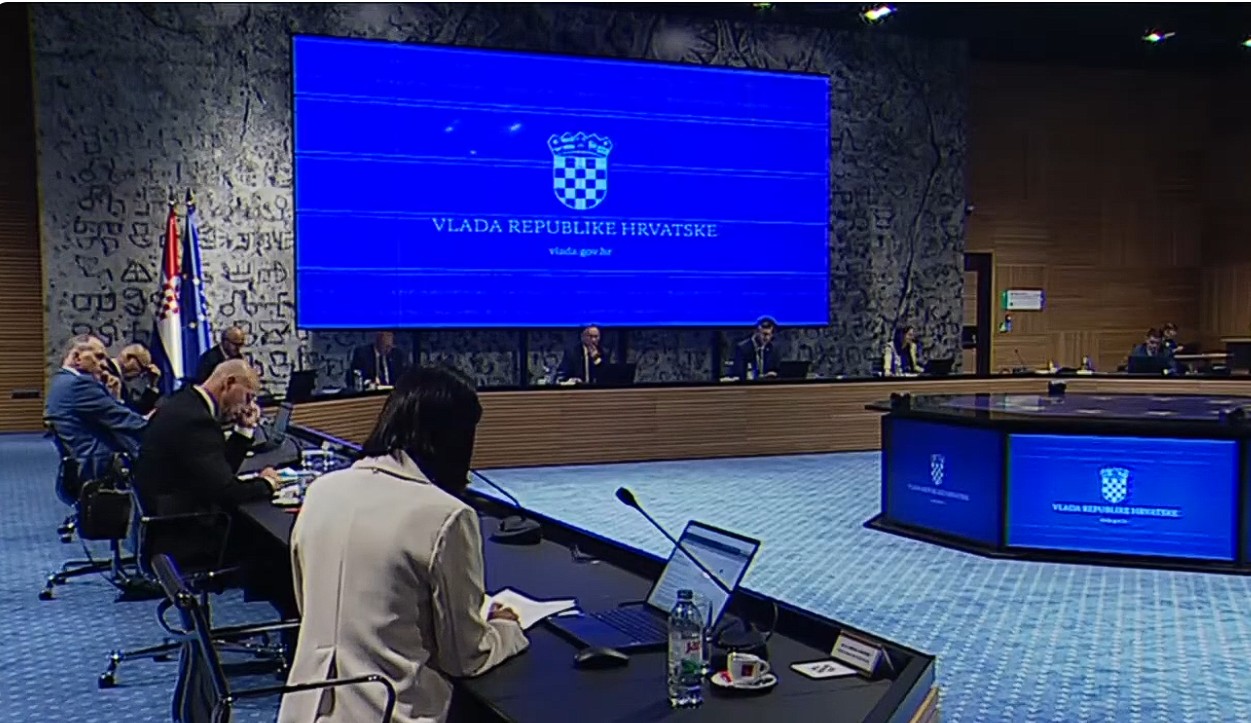 Vladine mjere