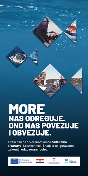 Kontrola i nadzor u ribarstvu